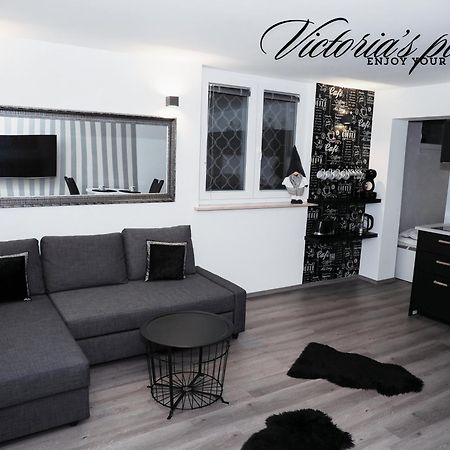 Victoria'S Place Apartment Lubiana Esterno foto